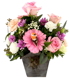 Pretty Pink Birdhouse includes pink gerber daisies, pink roses, daisies, babys breath in a wood cube