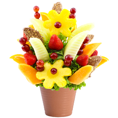The Fruit Factory - chocolate covered apple slices, toffee and daisy shaped pineapples - New City NY