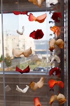 Acrylic Chuppah - Fall Colors