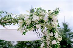 White Birch Chuppah