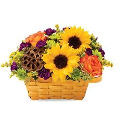 Falling For Sunflowers