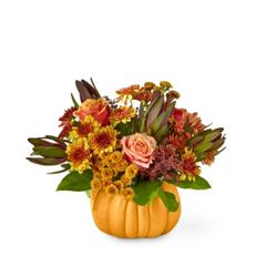 Honeyed Harvest Pumpkin
