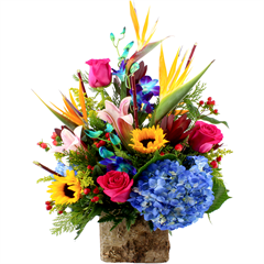 Tropical Treasures - tropical flower arrangement with birds of paradise, orchids, roses, and more.