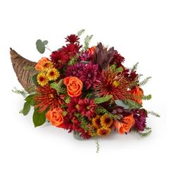 Autumn Herald Cornucopia 
