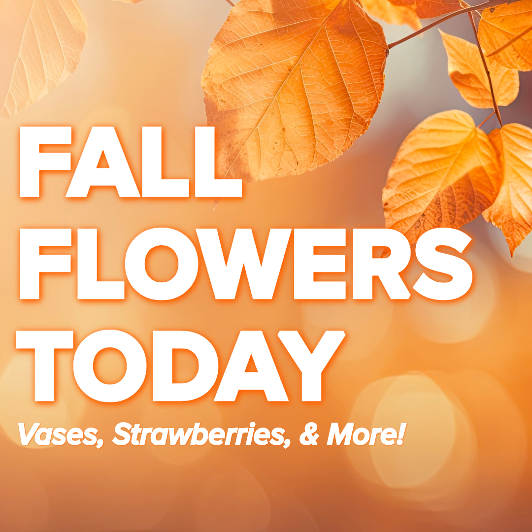 Gorgeous Gifts & Fall Flowers You Can Send Today